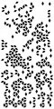 95711d0222a19748f7c5c21ef59a2f6e