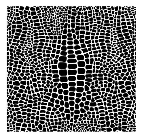 8c4dfb70556bb66656c35e60de20fcd0