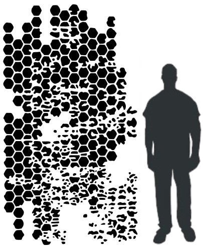 szablon maxx 3a.jpgb.jpgc.jpg