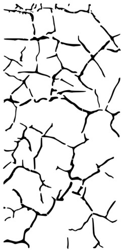 maxx 14.jpg