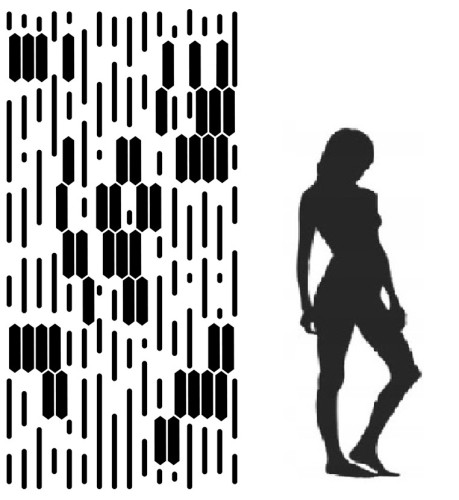 maxx 16 - 250.jpg1.jpg