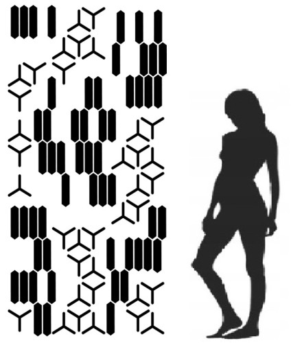 maxx 15 - 250.jpg1.jpg